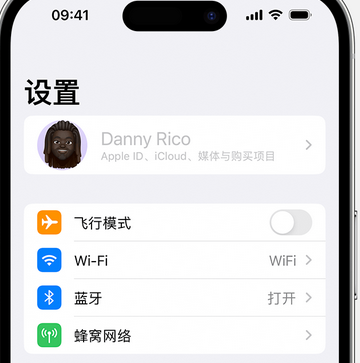 永州appleID维修服务iPhone设置中Apple ID显示为灰色无法使用 