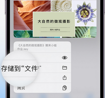 永州apple维修中心分享iPhone文件应用中存储和找到下载文件