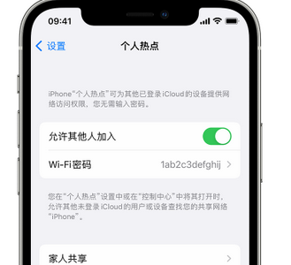 永州apple服务站点分享iPhone上个人热点丢失了怎么办 