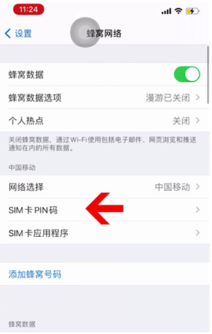 永州苹果14维修网分享如何给iPhone14的SIM卡设置密码 