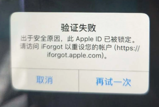 永州iPhone维修分享iPhone上正常登录或使用AppleID怎么办 