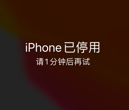 永州苹果手机维修分享:iPhone 显示“不可用”或“已停用”怎么办？还能保留数据吗？ 