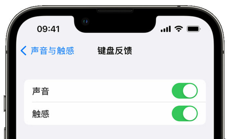 永州苹果手机维修分享iPhone 14触感键盘使用方法 