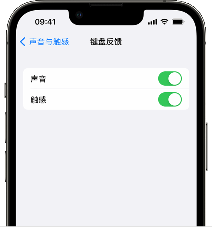 永州苹果14维修店分享如何在 iPhone 14 机型中使用触感键盘 