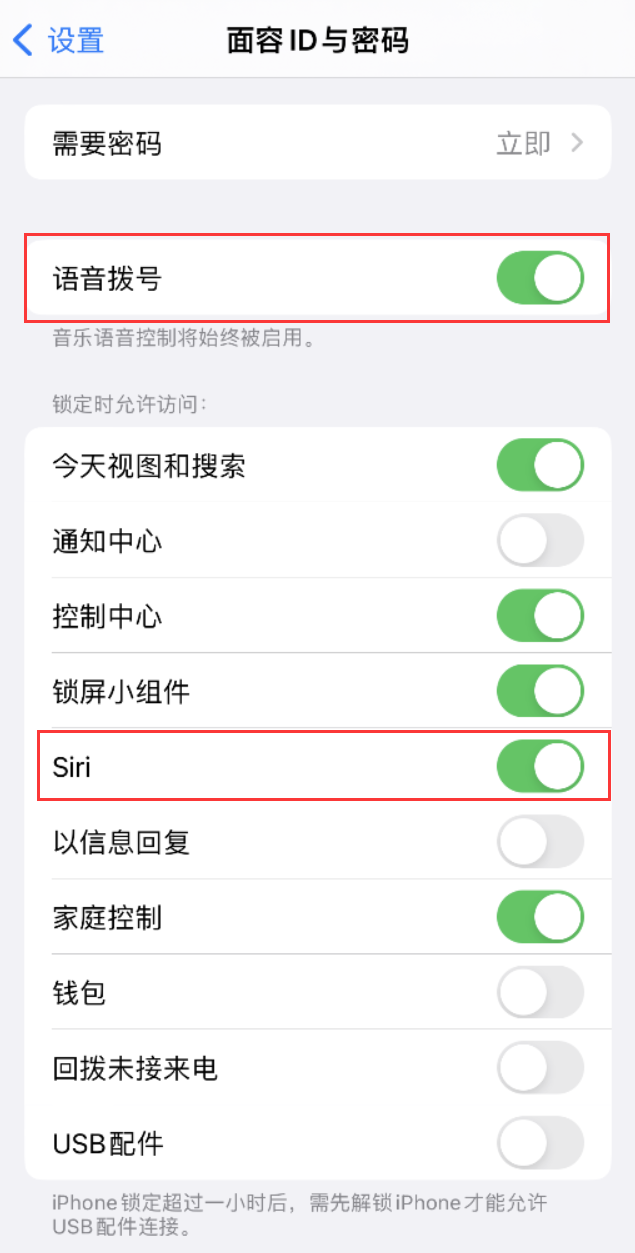 永州苹果维修网点分享不解锁 iPhone 的情况下通过 Siri 拨打电话的方法 