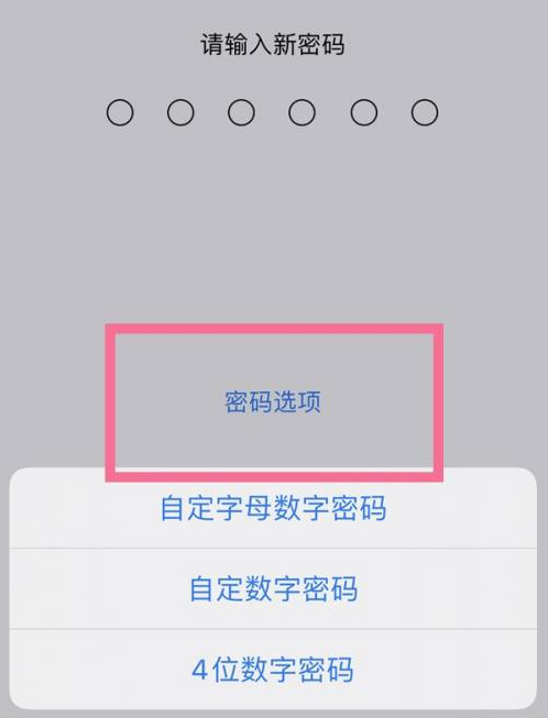 永州苹果14维修分享iPhone 14plus设置密码的方法 