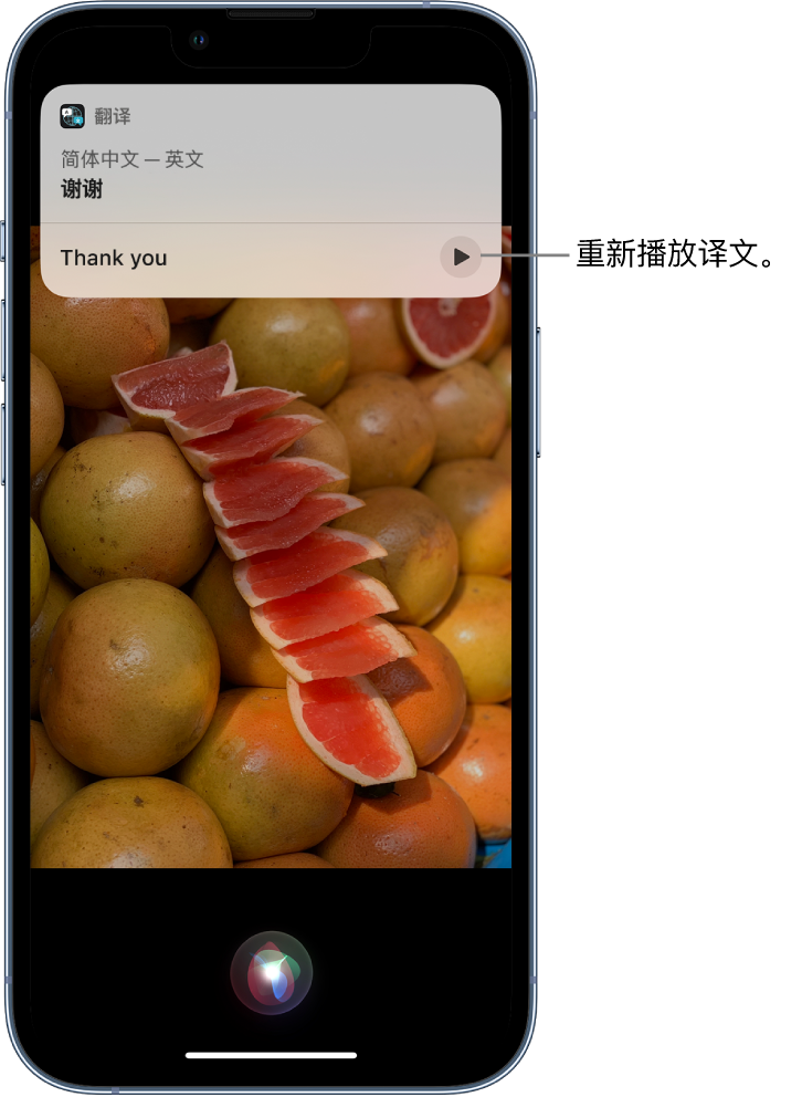 永州苹果14维修分享 iPhone 14 机型中使用 Siri：了解 Siri 能帮你做什么 