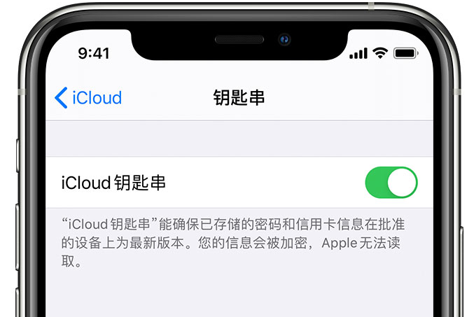 永州苹果手机维修分享在 iPhone 上开启 iCloud 钥匙串之后会储存哪些信息 