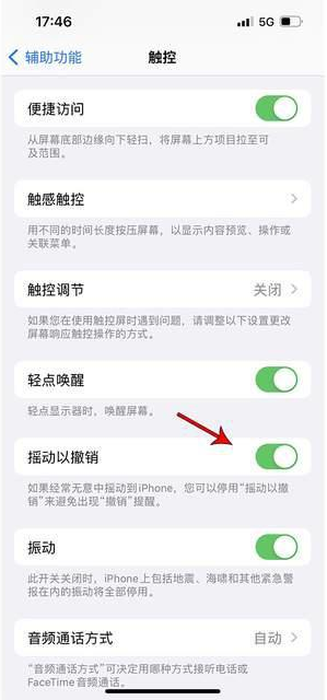 永州苹果手机维修分享iPhone手机如何设置摇一摇删除文字 