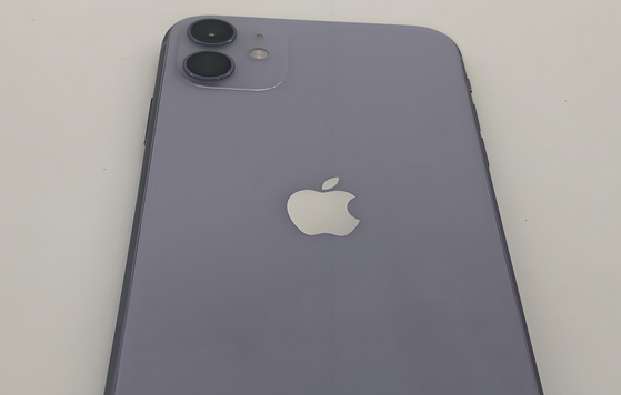 永州苹果11系统维修分享iPhone11手机系统崩溃无法开机如何解决 